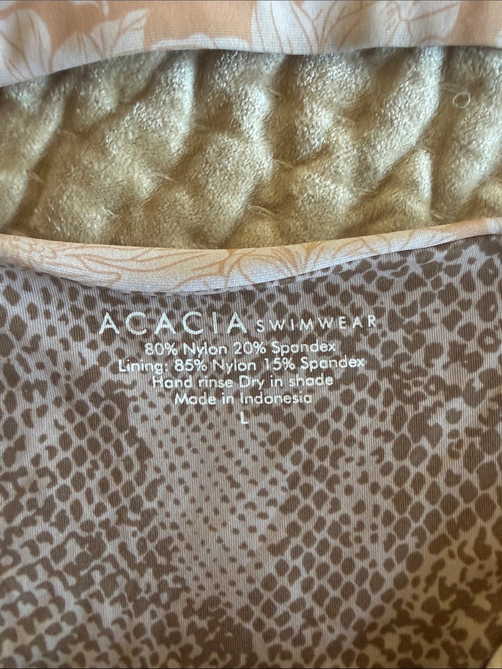 Acacia bikini - Picture 6 of 8